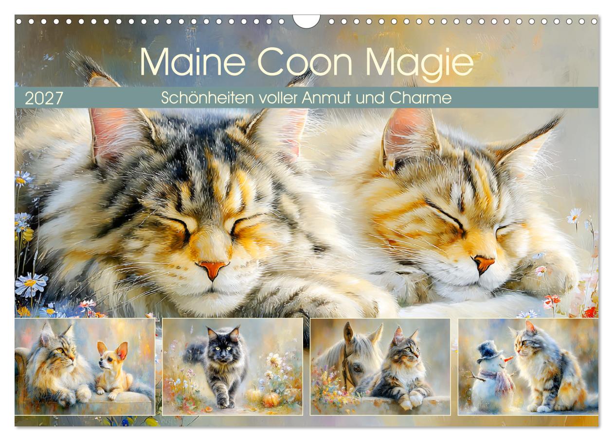 Maine Coon Magie. Schönheiten voller Anmut und Charme