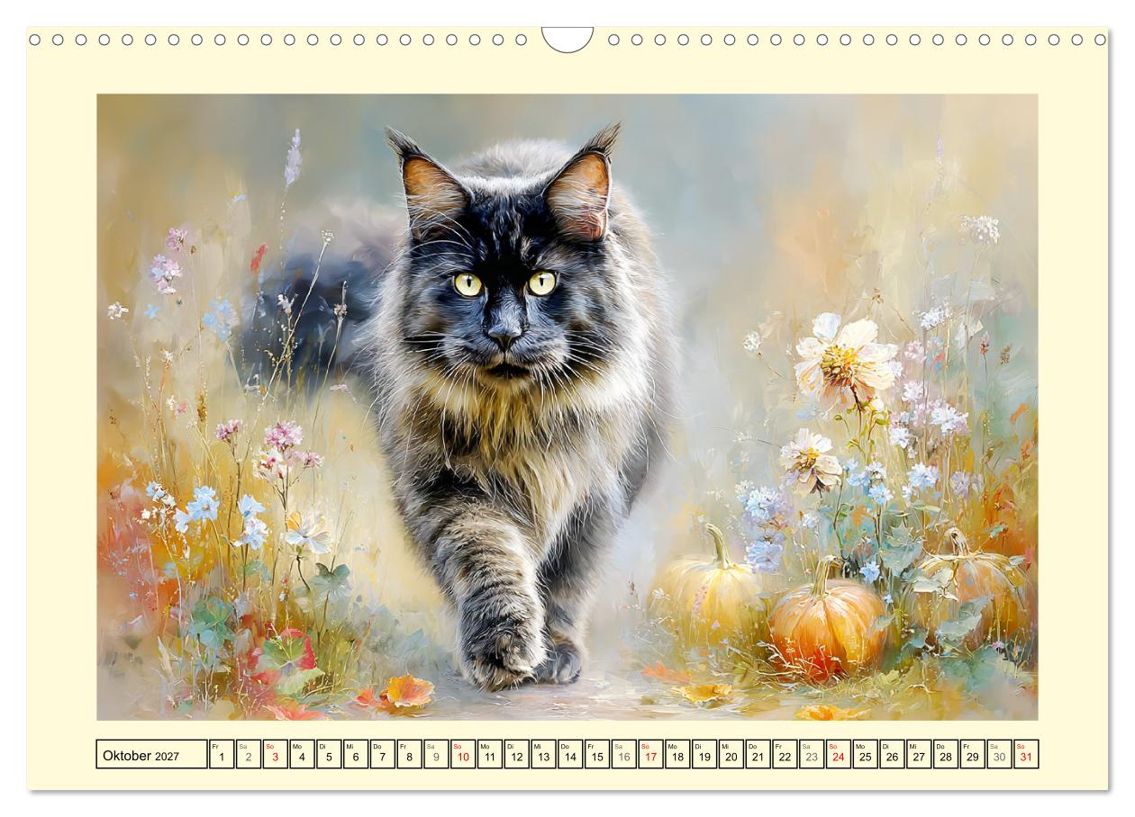 Maine Coon Magie. Schönheiten voller Anmut und Charme