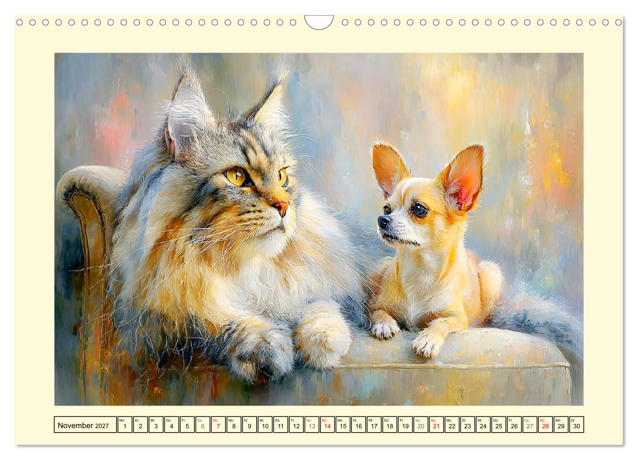 Maine Coon Magie. Schönheiten voller Anmut und Charme