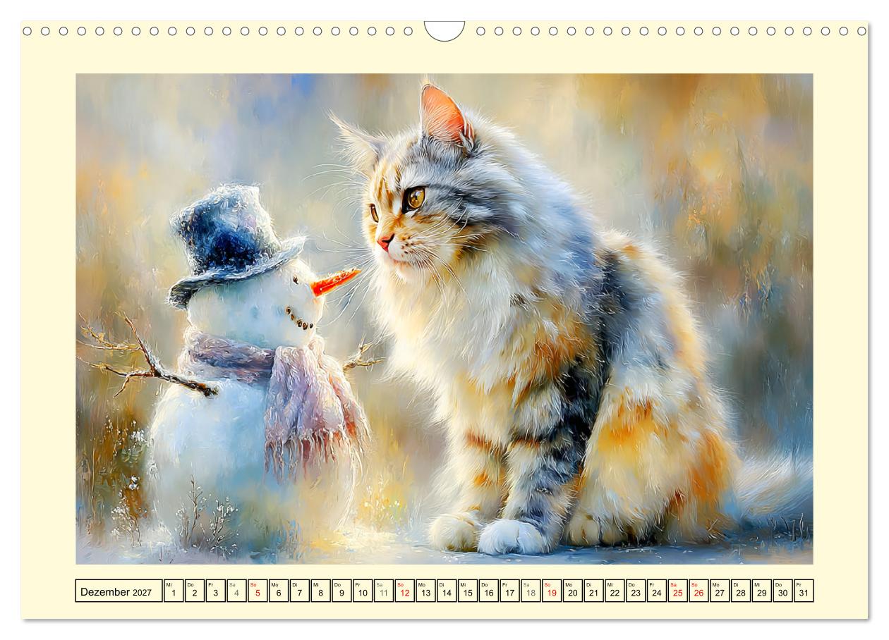 Maine Coon Magie. Schönheiten voller Anmut und Charme