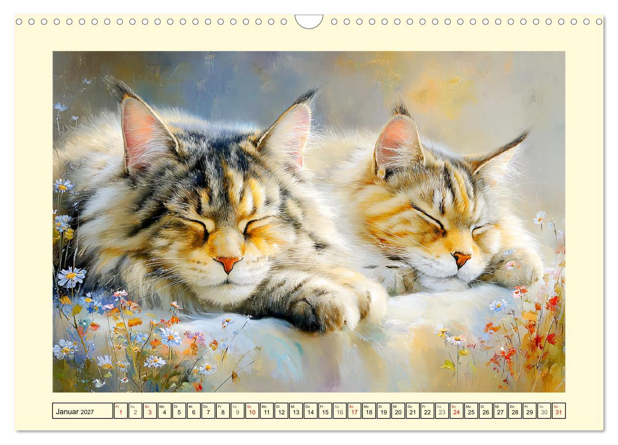 Maine Coon Magie. Schönheiten voller Anmut und Charme