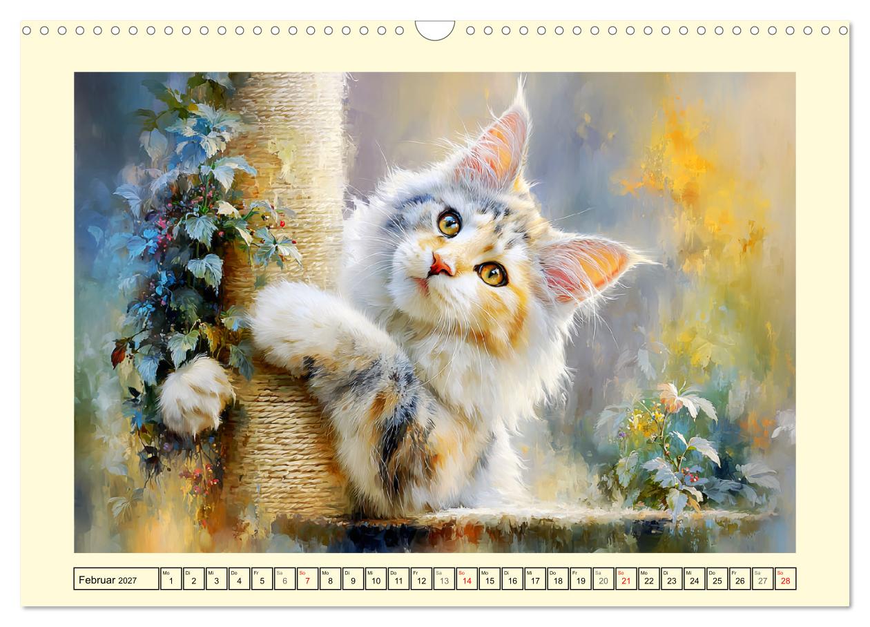 Maine Coon Magie. Schönheiten voller Anmut und Charme