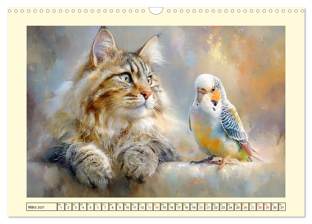 Maine Coon Magie. Schönheiten voller Anmut und Charme