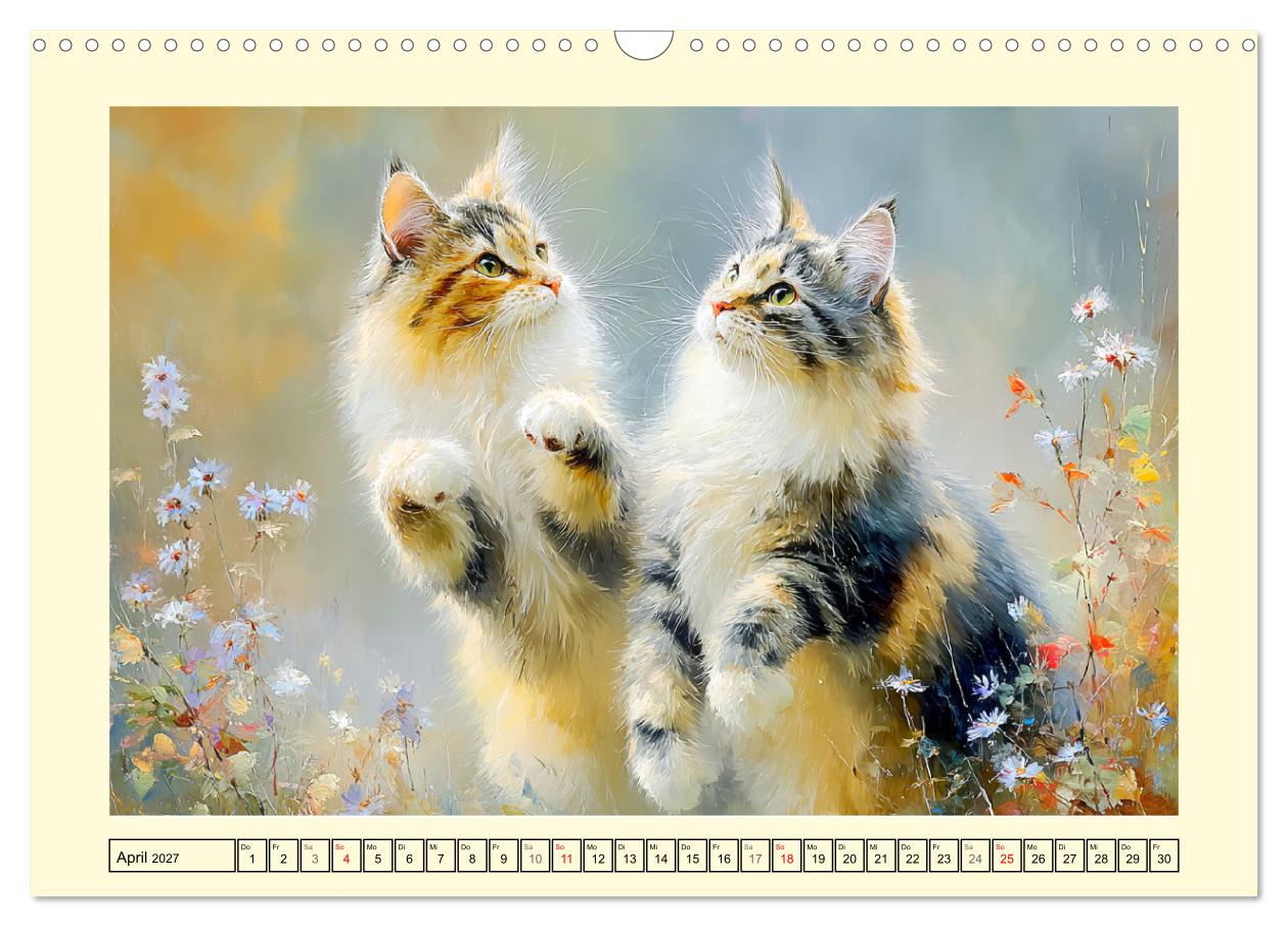 Maine Coon Magie. Schönheiten voller Anmut und Charme
