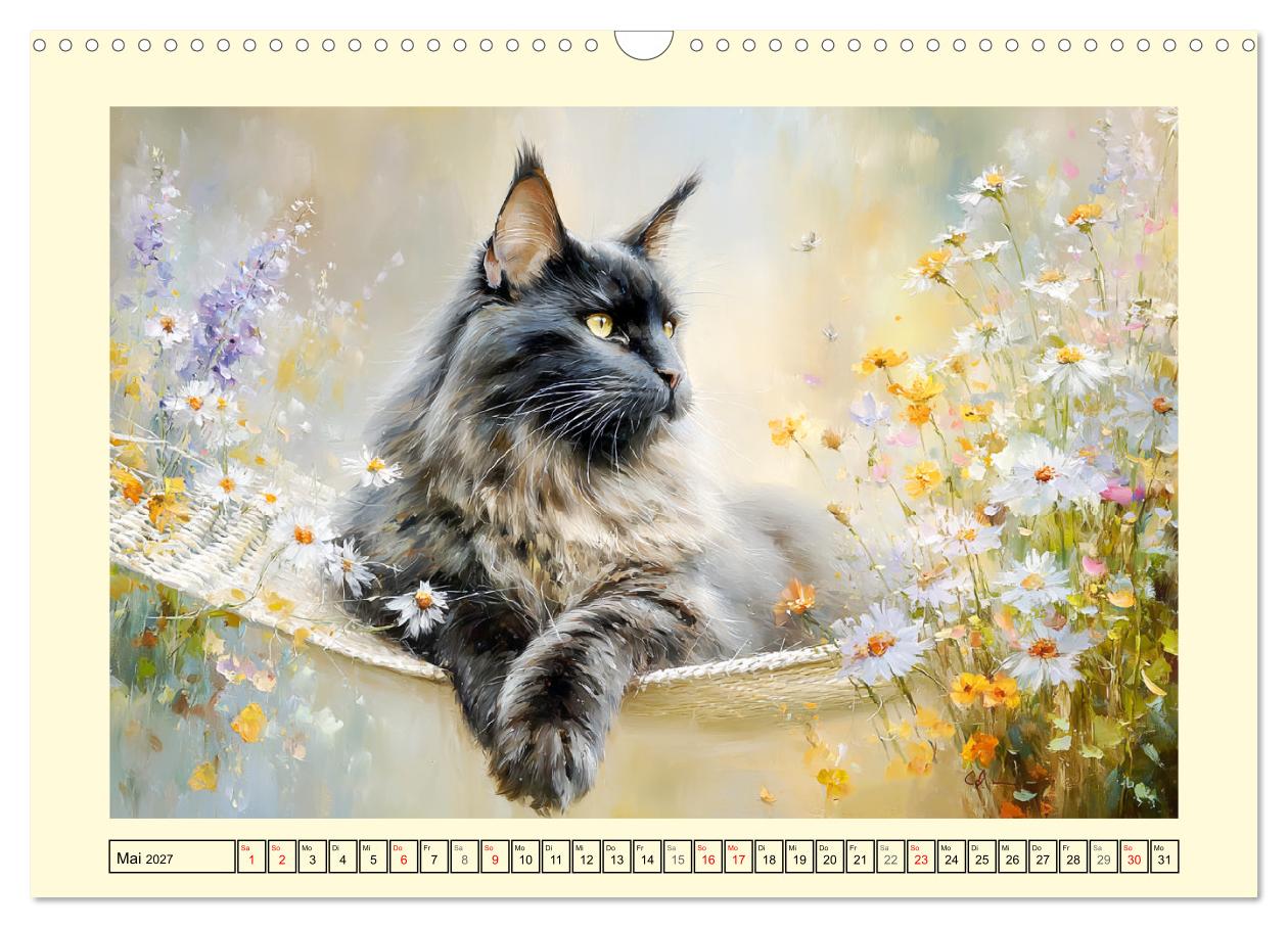 Maine Coon Magie. Schönheiten voller Anmut und Charme