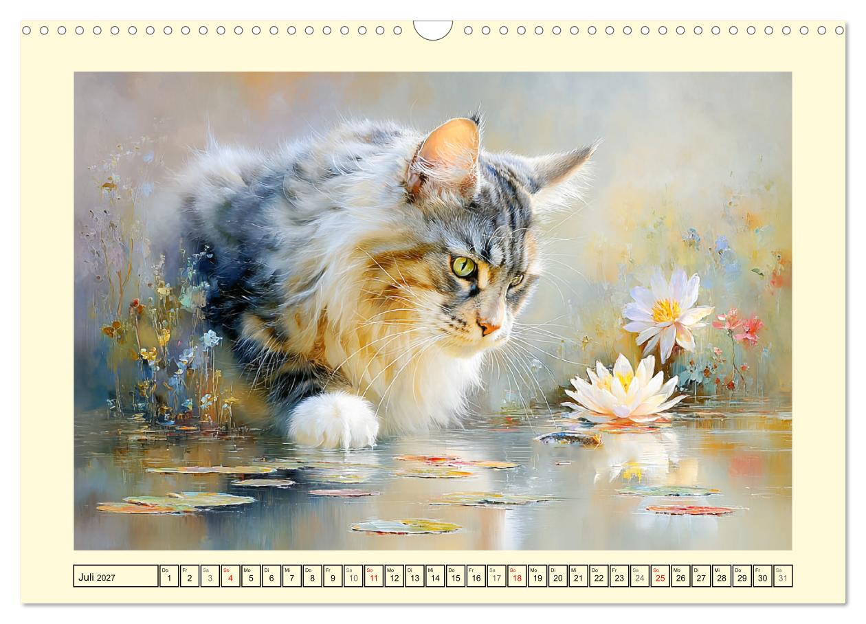 Maine Coon Magie. Schönheiten voller Anmut und Charme