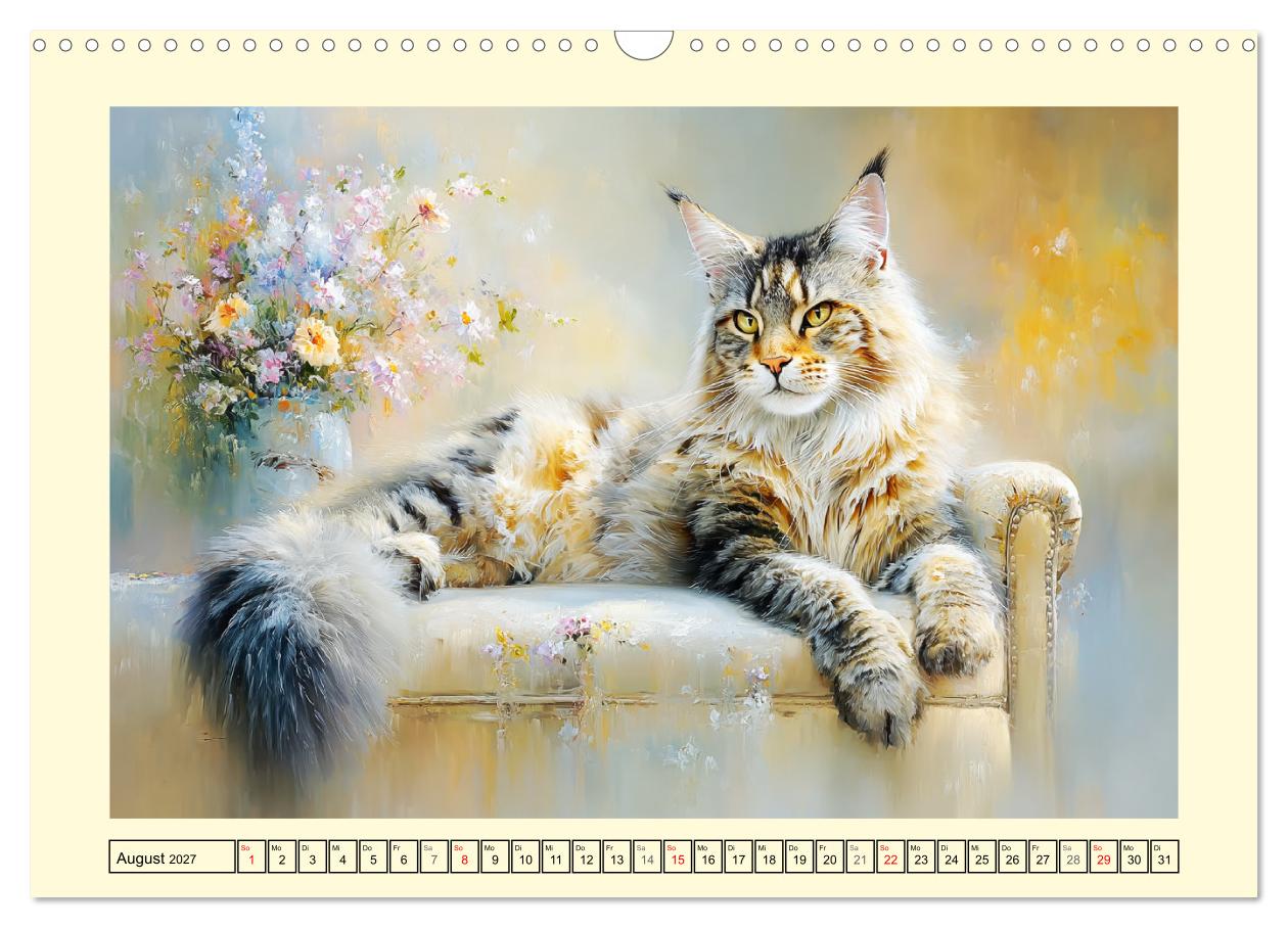 Maine Coon Magie. Schönheiten voller Anmut und Charme