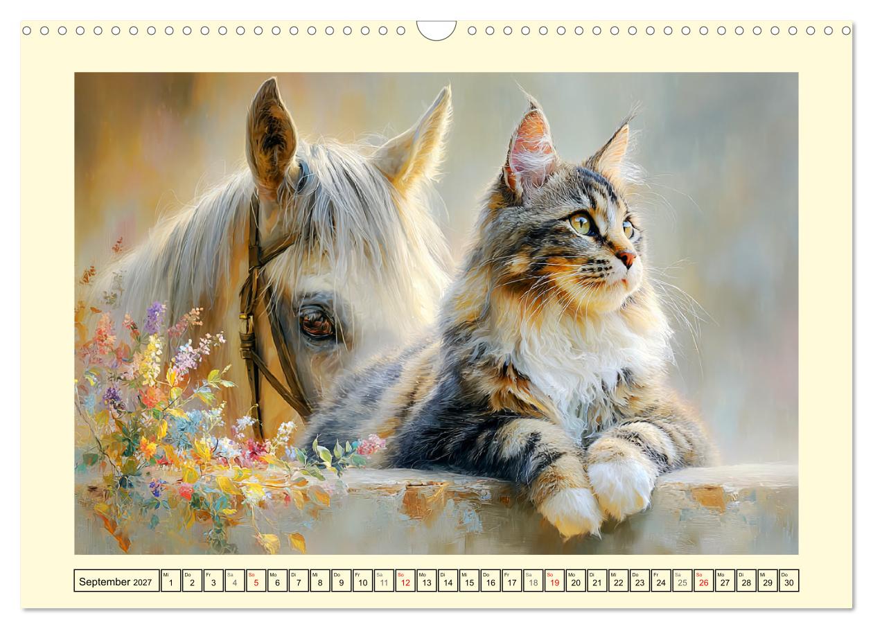 Maine Coon Magie. Schönheiten voller Anmut und Charme