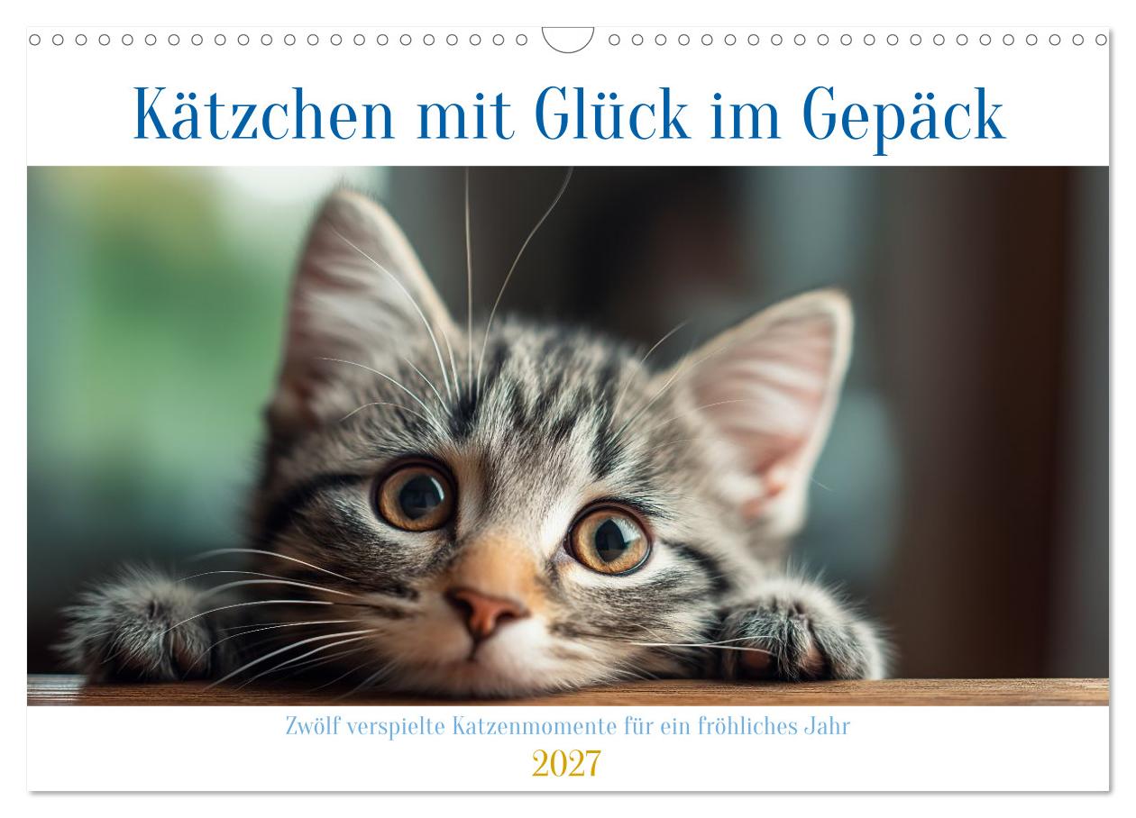Kätzchen mit Glück im Gepäck