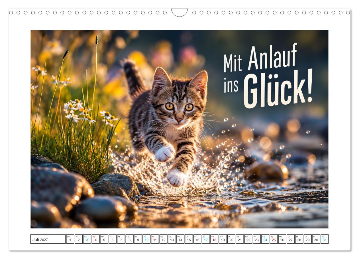 Kätzchen mit Glück im Gepäck