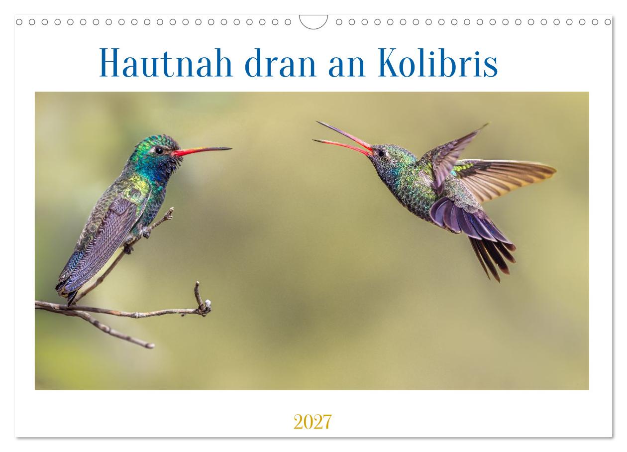 Traumhaft nah dran an Kolibris