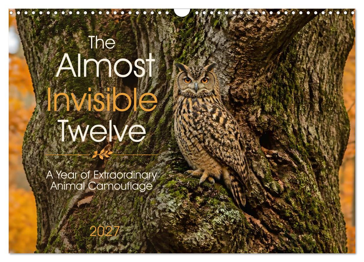 The Almost Invisible Twelve