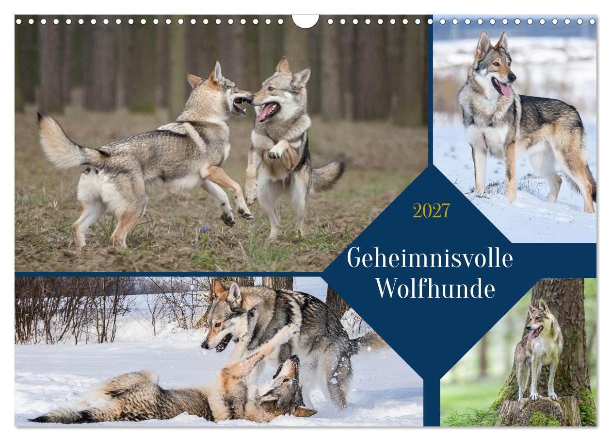 Geheimnisvolle Wolfhunde