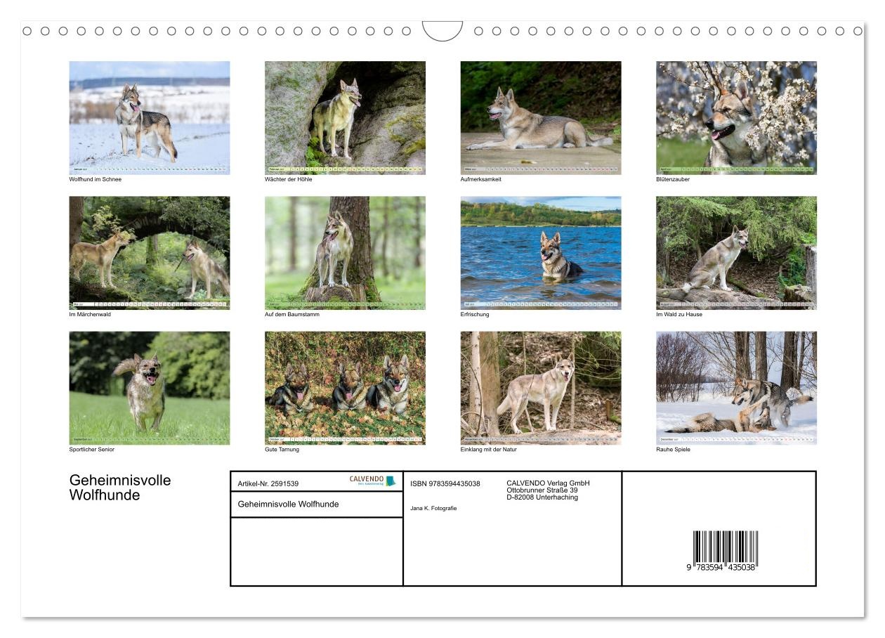 Geheimnisvolle Wolfhunde
