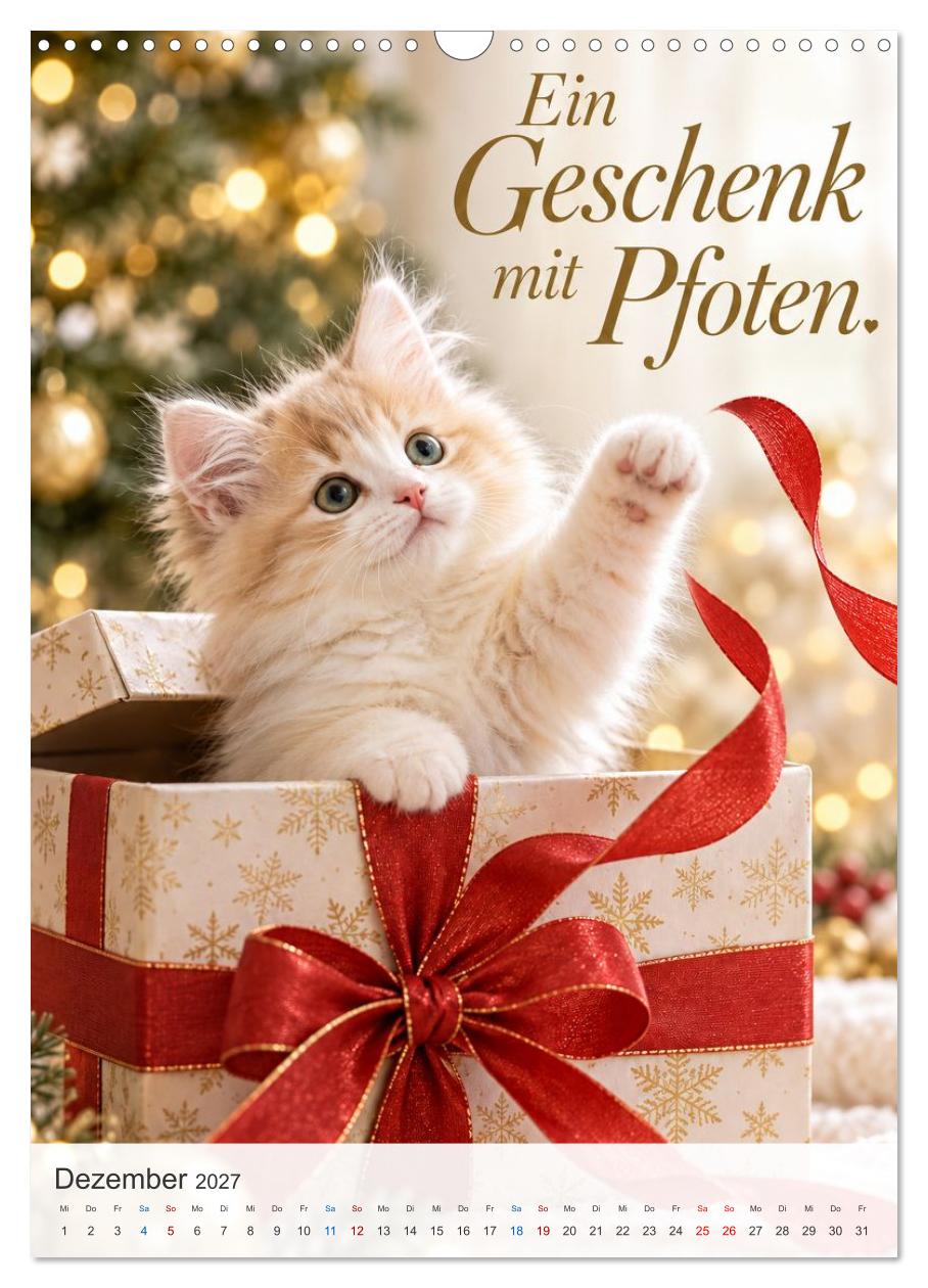 Ein Pfötchen Glück
