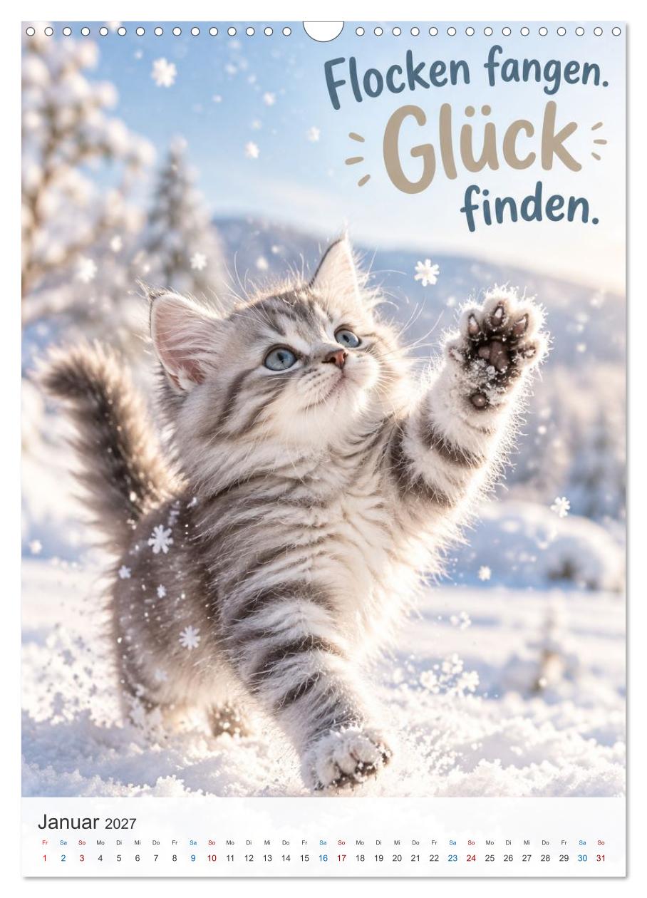 Ein Pfötchen Glück