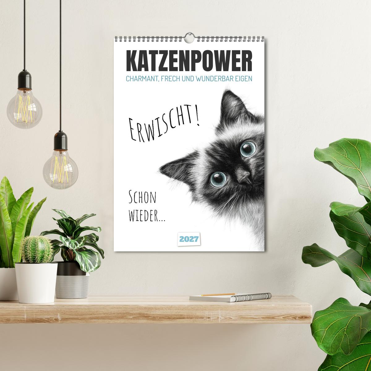 Katzenpower - Charmant, frech und wunderbar eigen