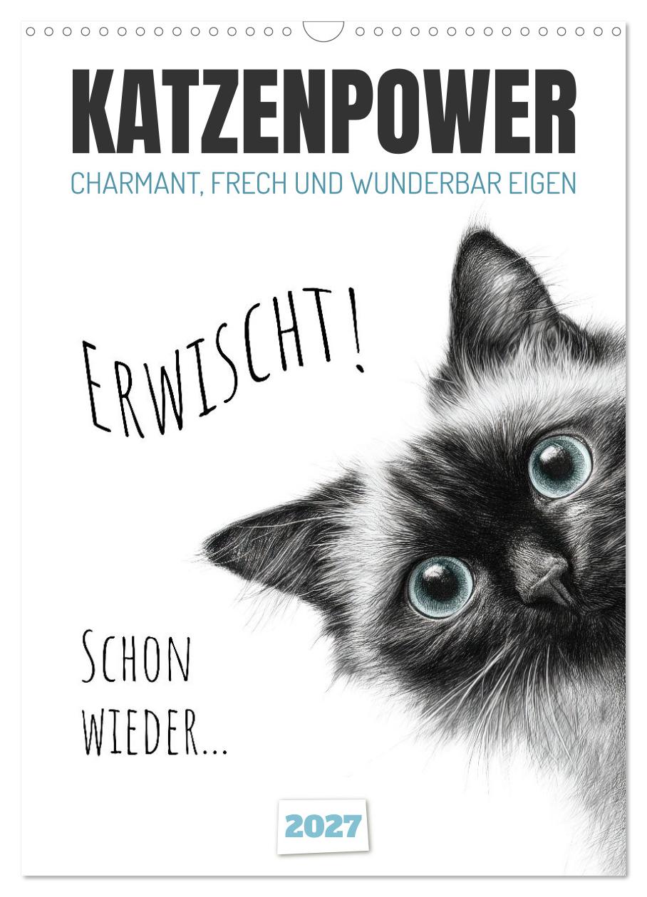 Katzenpower - Charmant, frech und wunderbar eigen