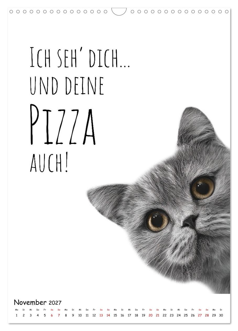 Katzenpower - Charmant, frech und wunderbar eigen