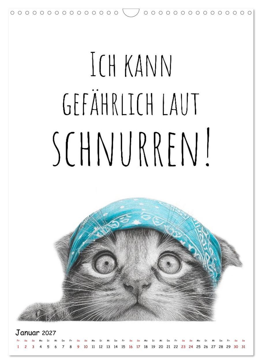 Katzenpower - Charmant, frech und wunderbar eigen