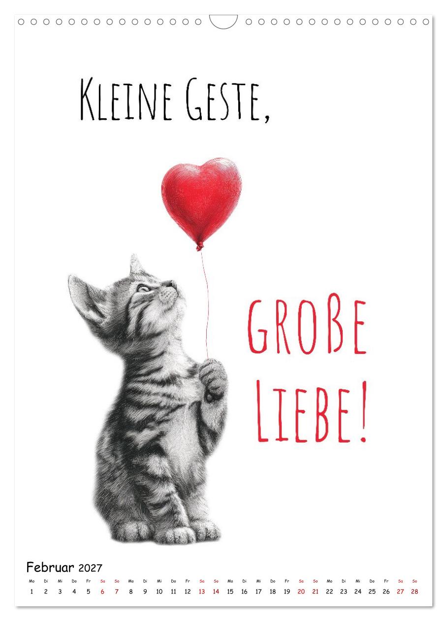Katzenpower - Charmant, frech und wunderbar eigen