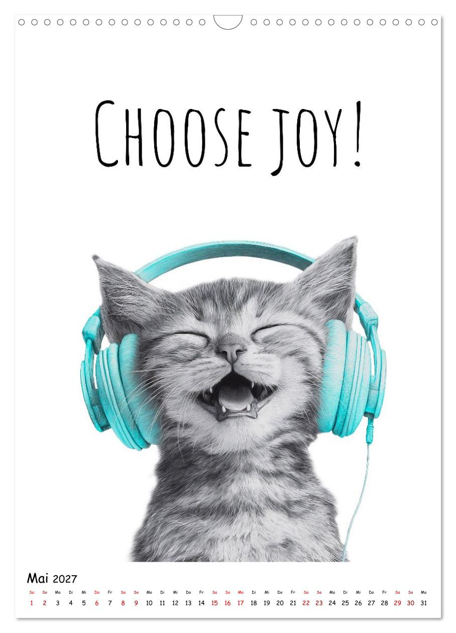 Katzenpower - Charmant, frech und wunderbar eigen
