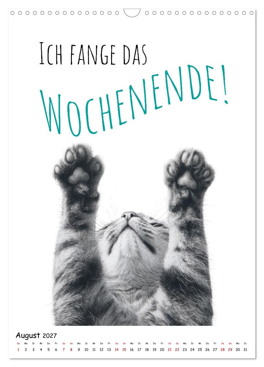 Katzenpower - Charmant, frech und wunderbar eigen