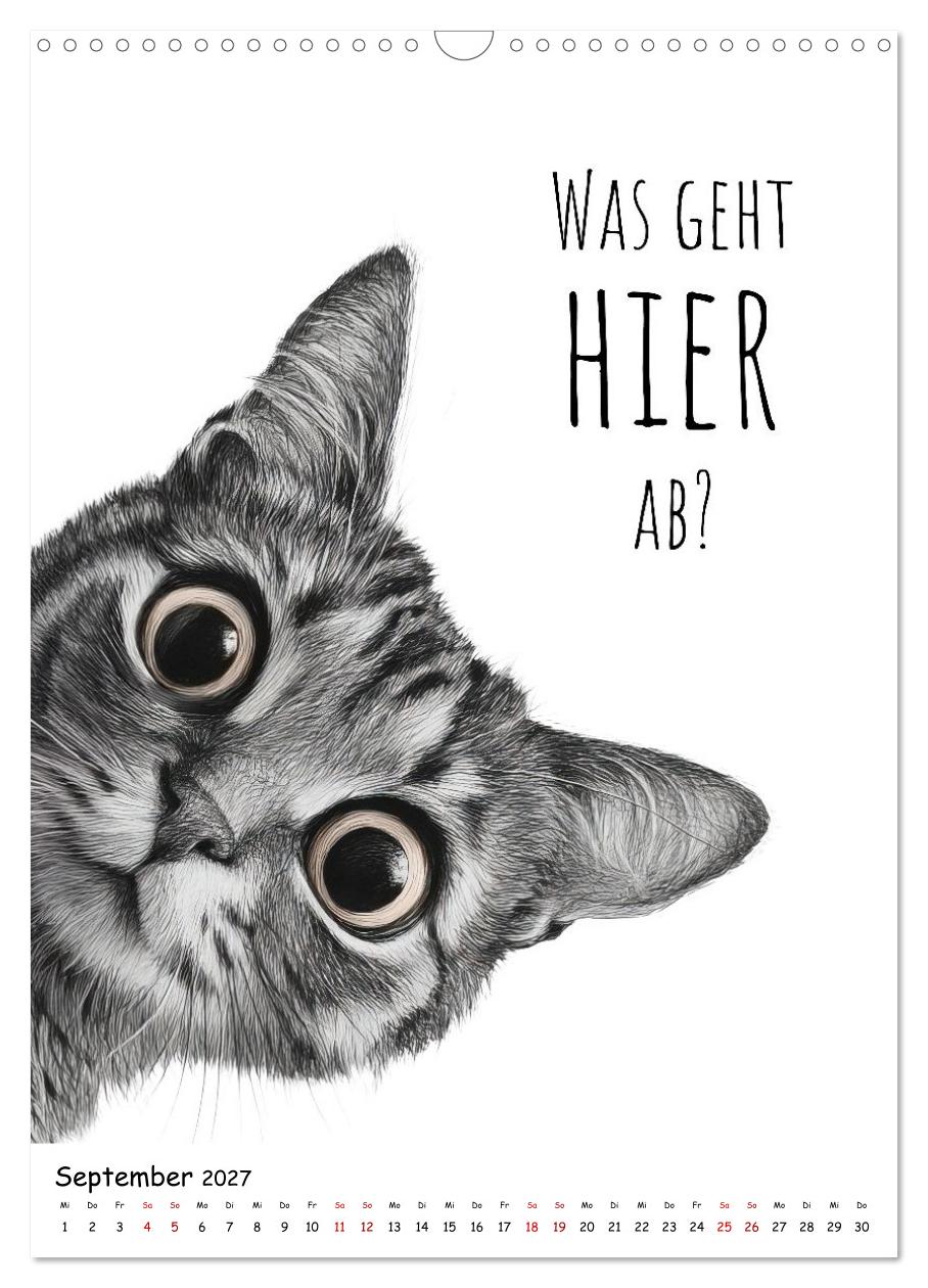 Katzenpower - Charmant, frech und wunderbar eigen