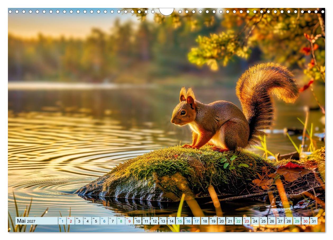 Märchenhafte Eichhörnchen