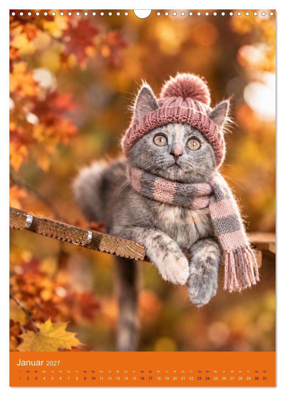 Goldener Herbst  Eine tierische Fantasiewelt