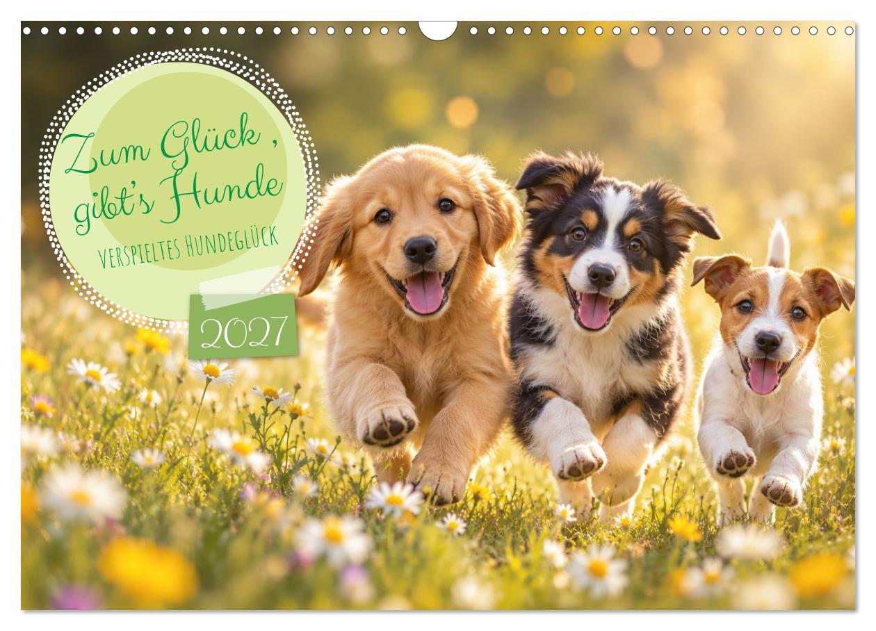 Zum Glück gibt’s Hunde