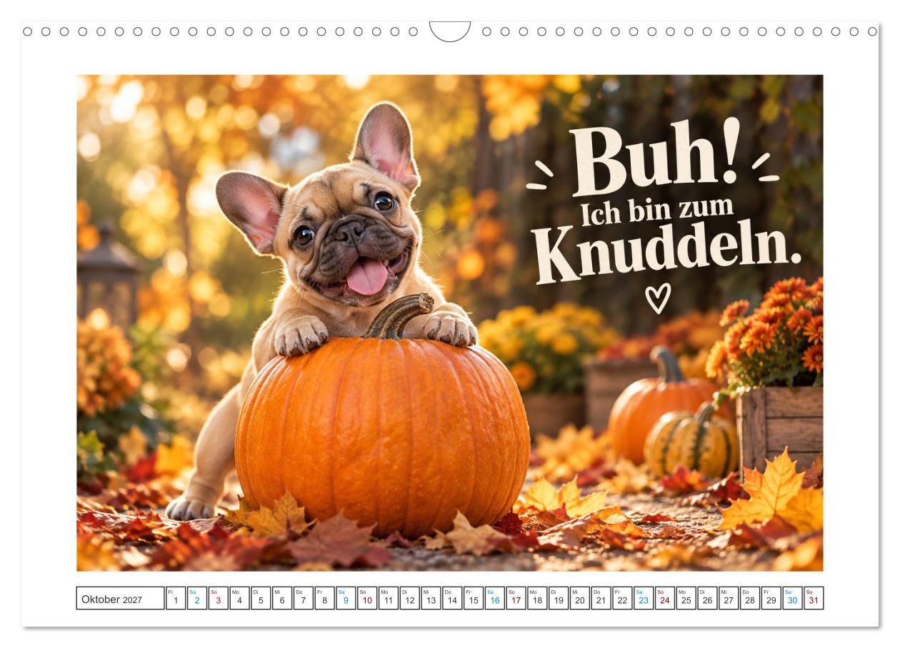 Zum Glück gibt’s Hunde