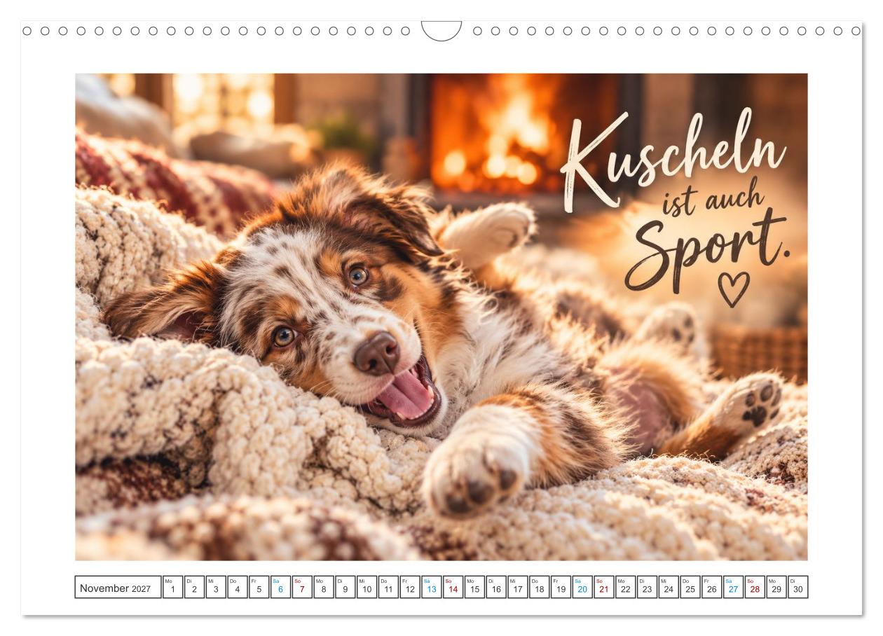 Zum Glück gibt’s Hunde