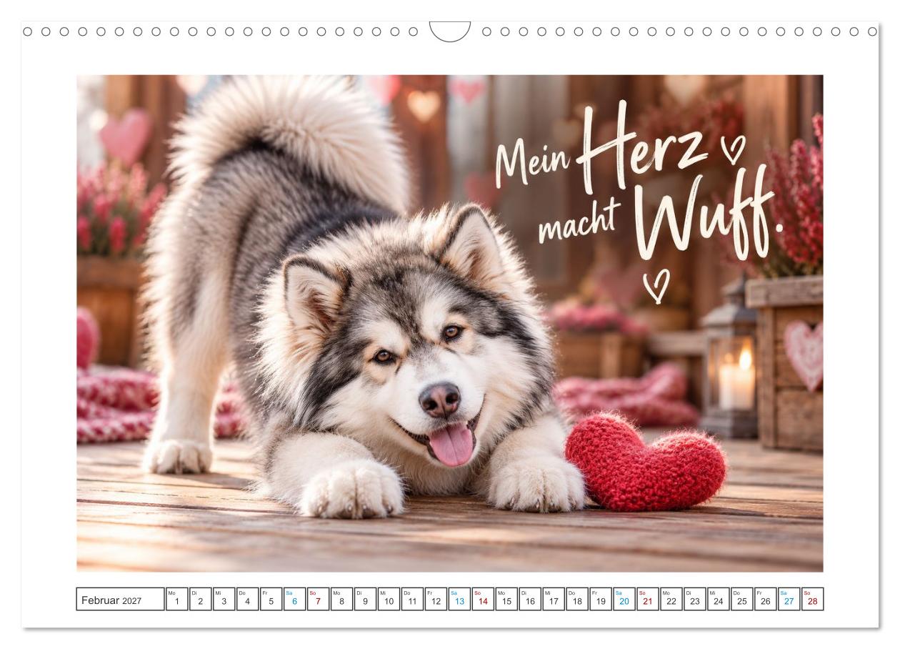Zum Glück gibt’s Hunde