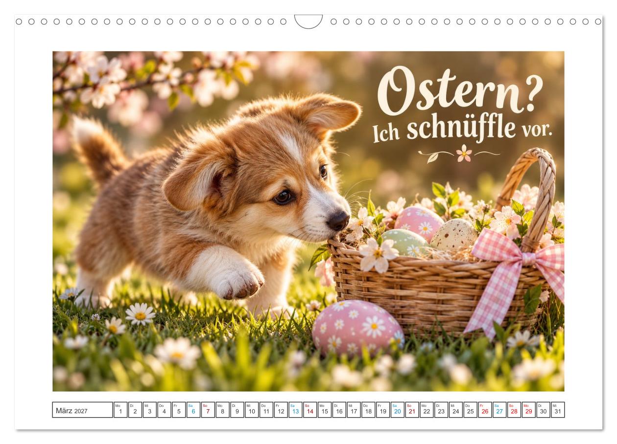 Zum Glück gibt’s Hunde