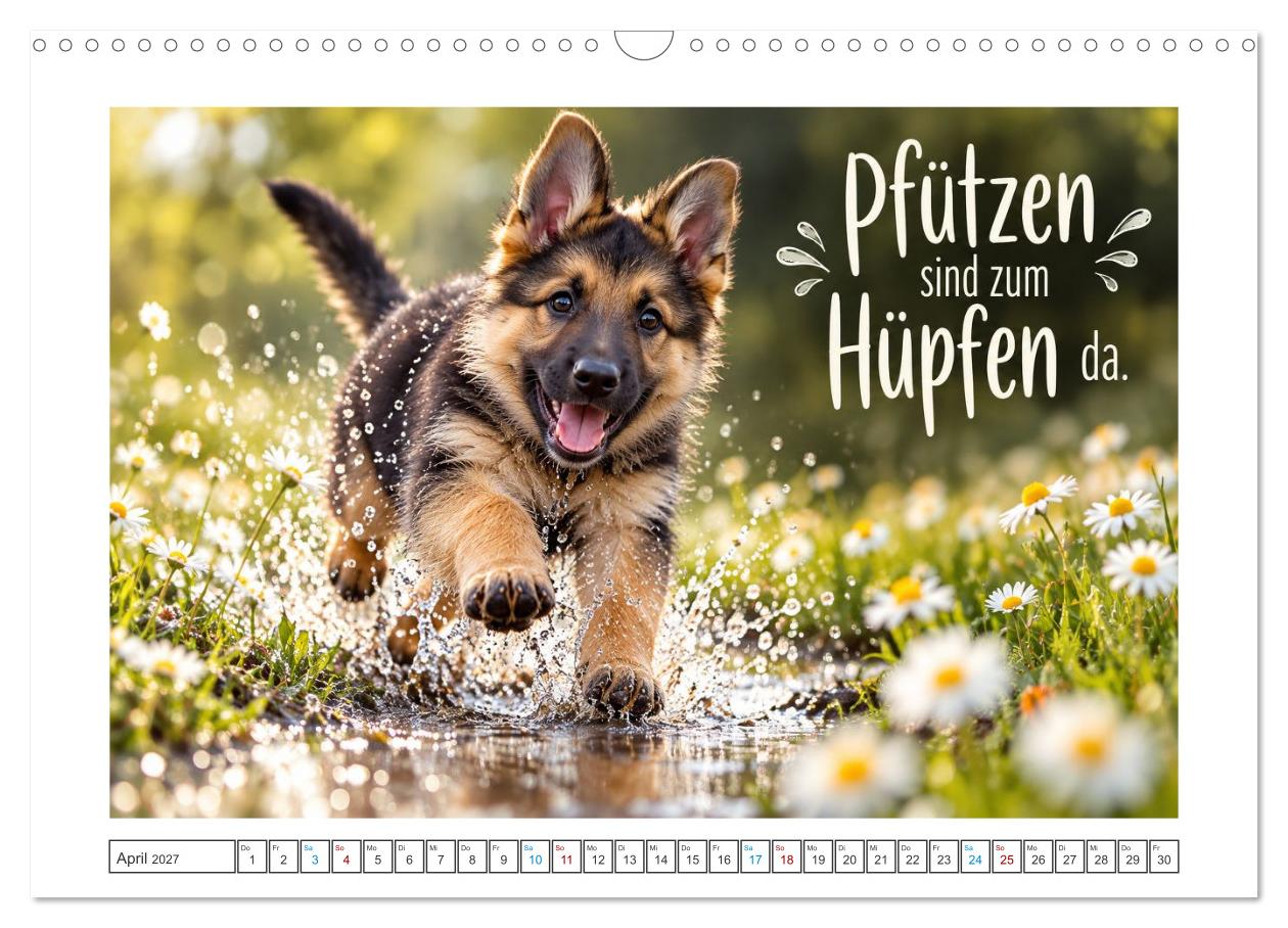 Zum Glück gibt’s Hunde