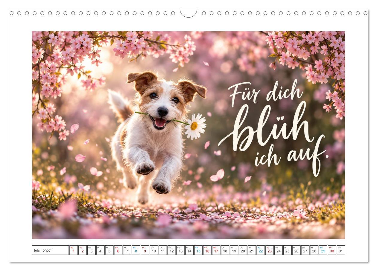 Zum Glück gibt’s Hunde