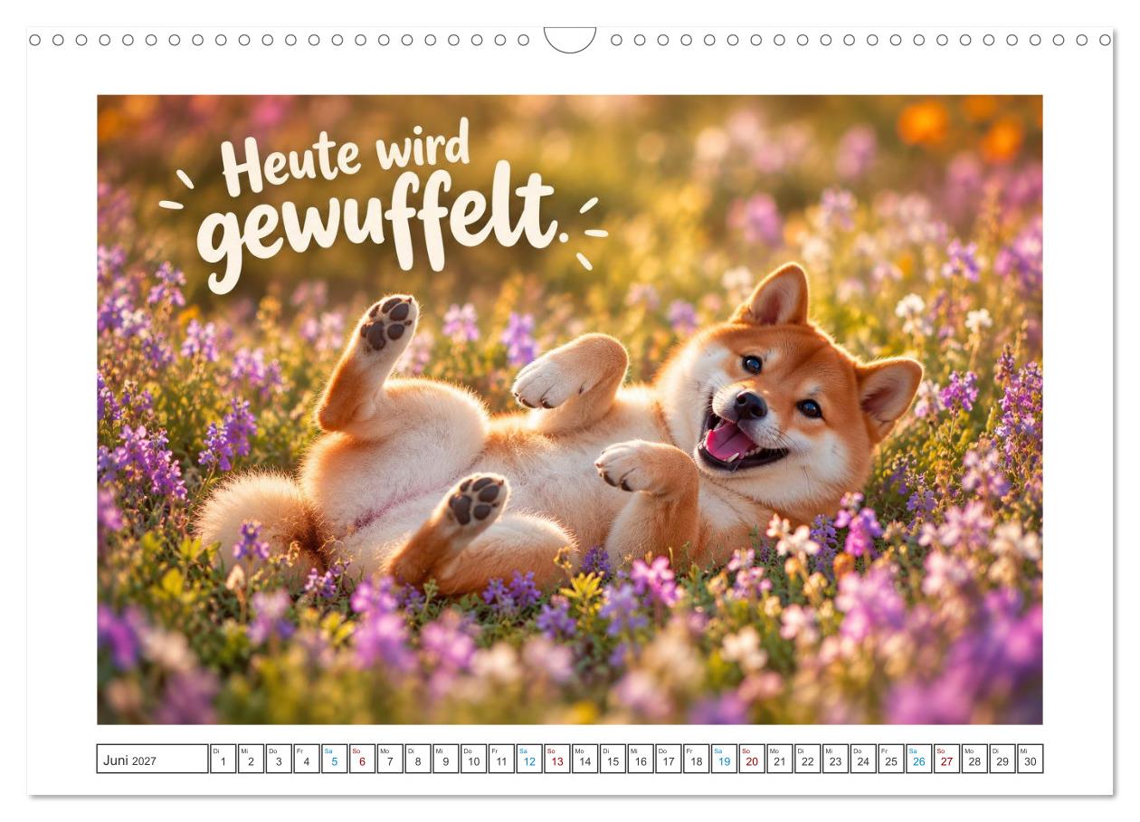 Zum Glück gibt’s Hunde
