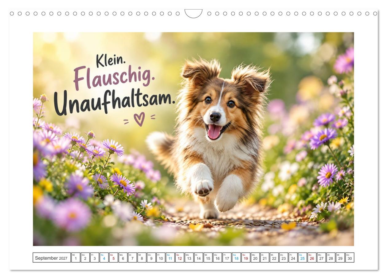Zum Glück gibt’s Hunde