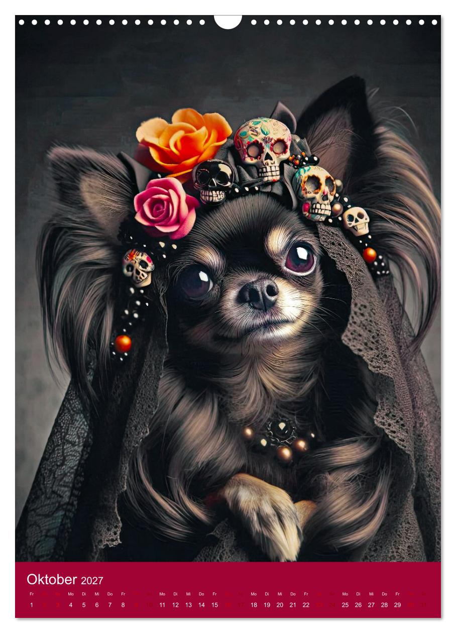 Fashion Dogs