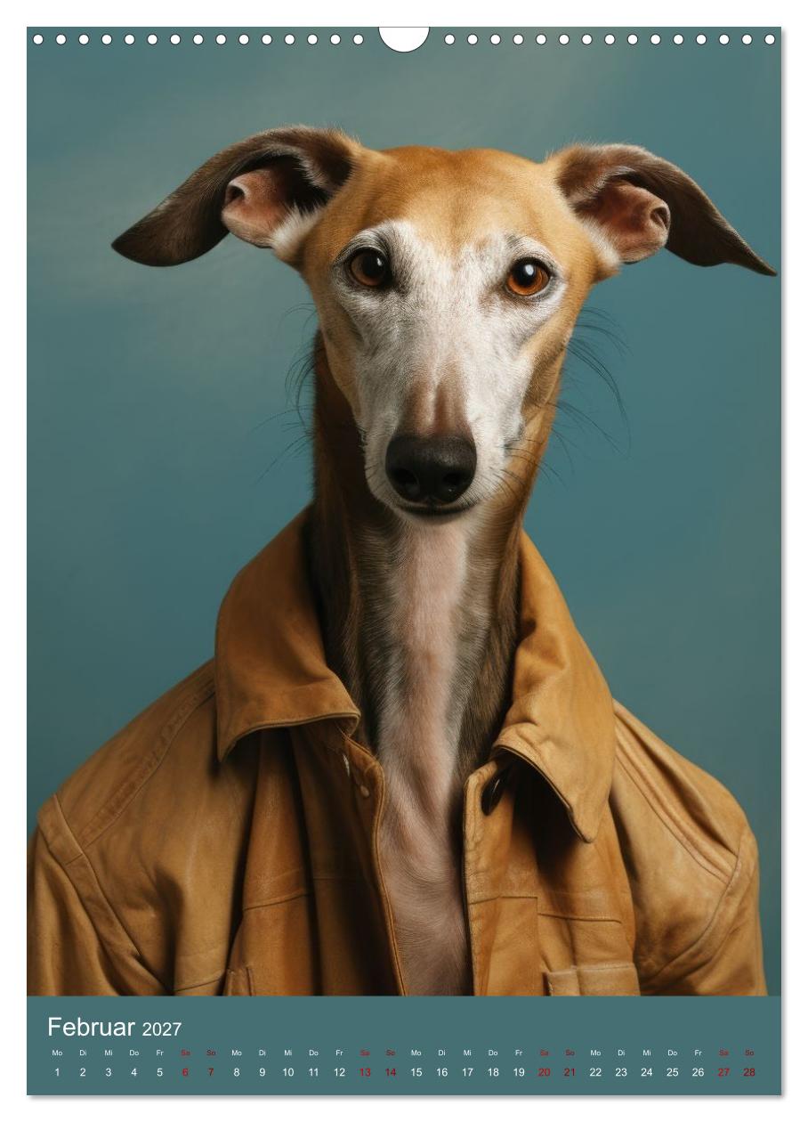 Fashion Dogs