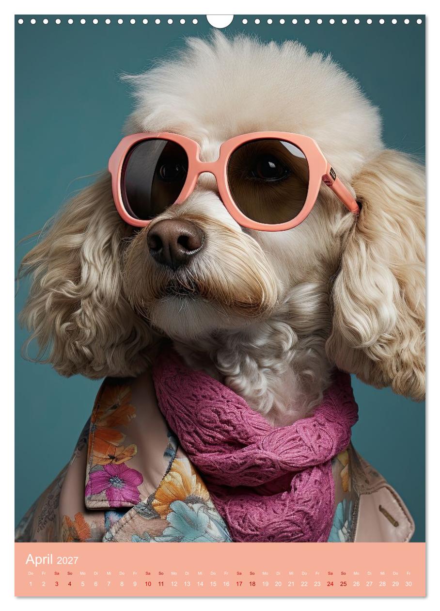 Fashion Dogs