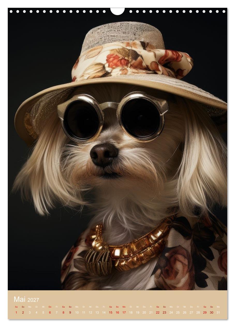 Fashion Dogs