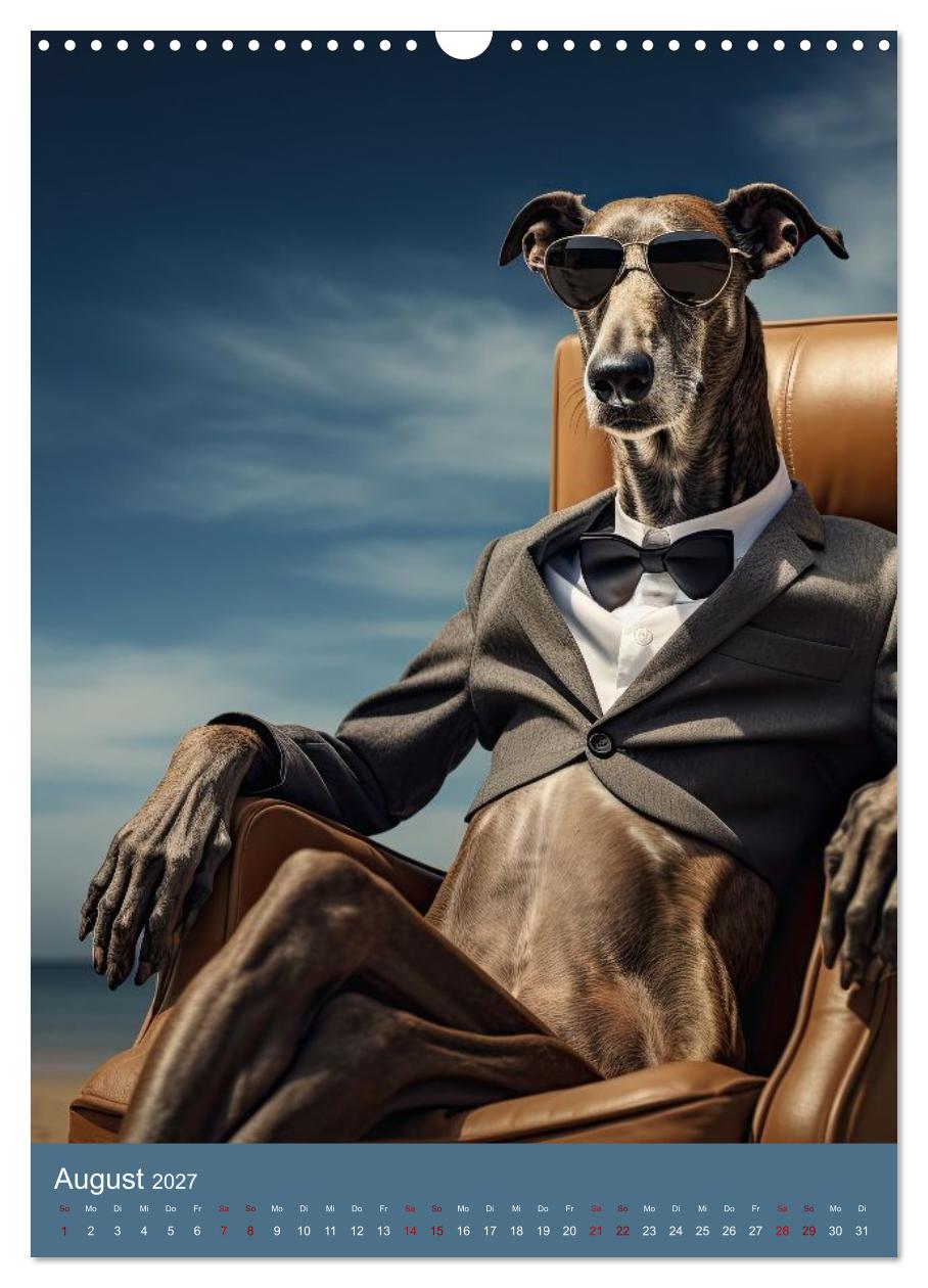 Fashion Dogs