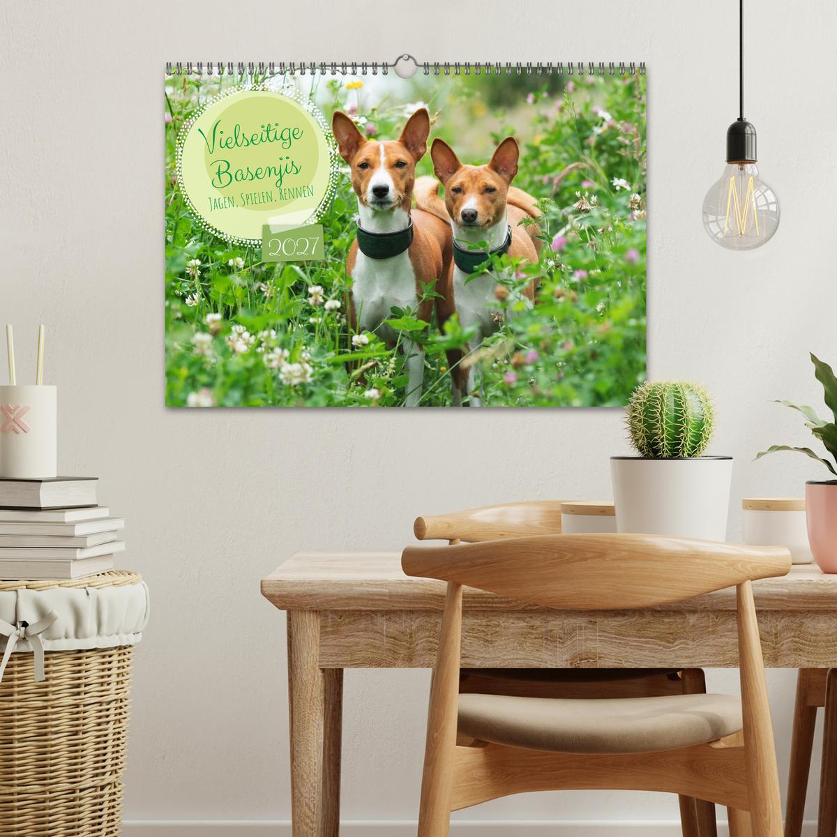 Vielseitige Basenjis
