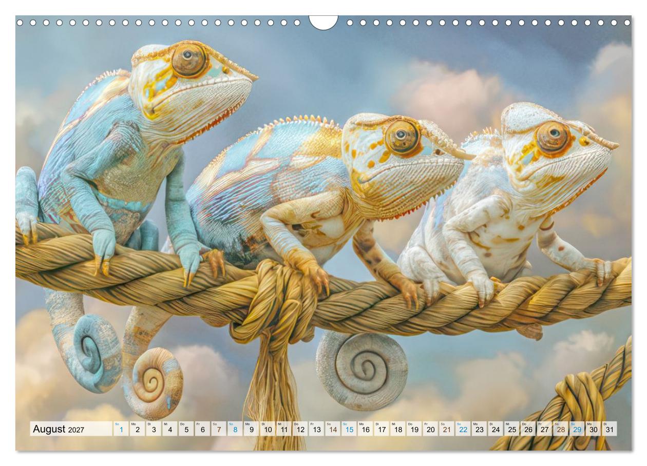 Die Suche nach Balance - Scherzhafte Tierillustrationen