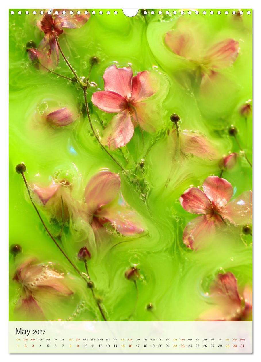 Floating Blooms