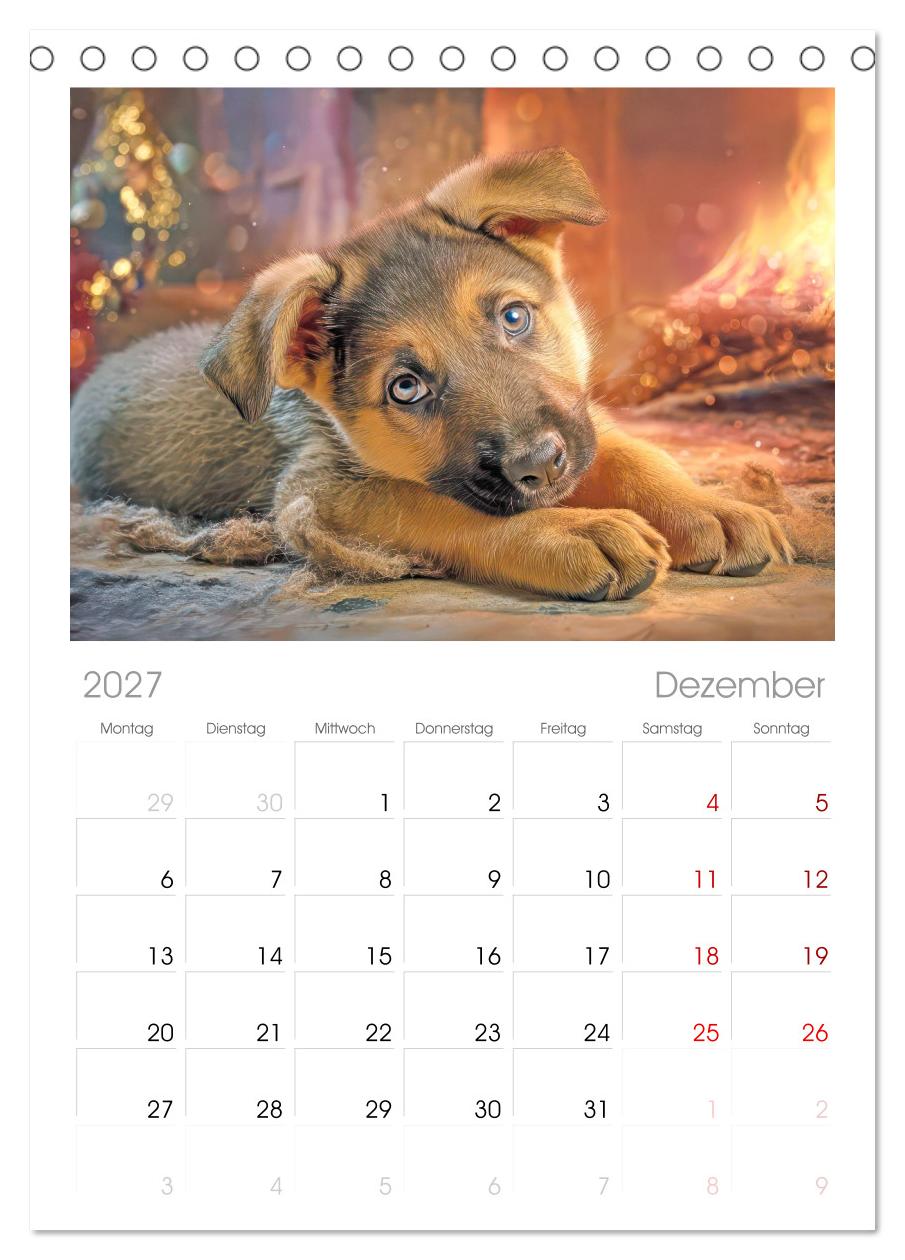 Hunde mit Charme - Illustrationen