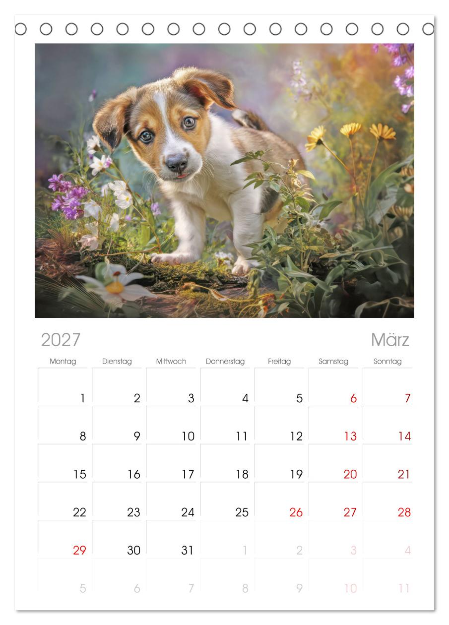 Hunde mit Charme - Illustrationen
