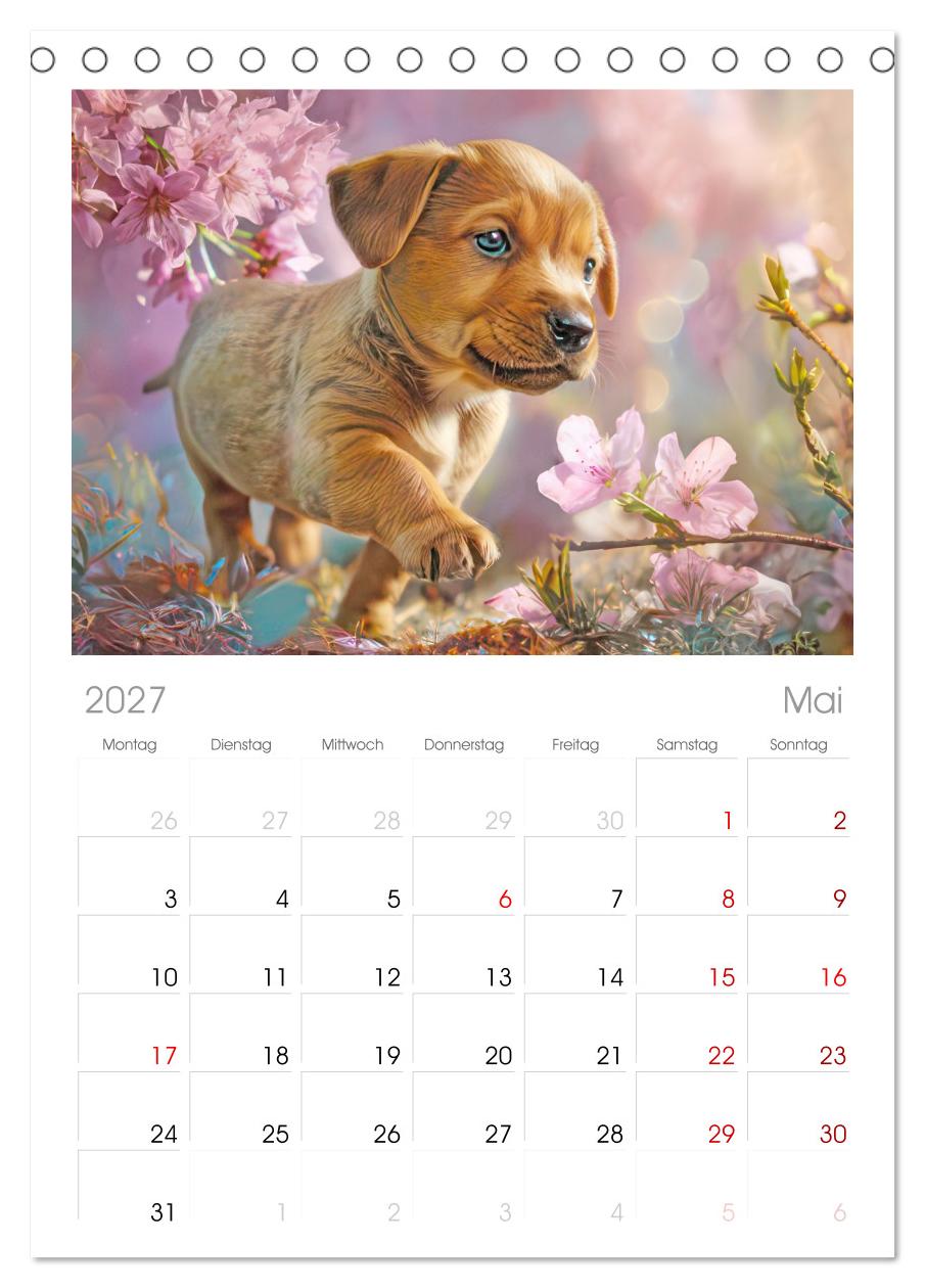 Hunde mit Charme - Illustrationen